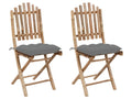 Chaises de jardin pliables lot de 2 avec coussins Calmetop 83248SDDS