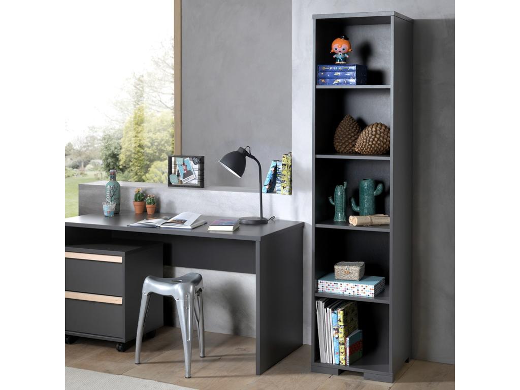 Calmetop - Bibliothèque 5 Niveaux Anthracite 70910JBHG
