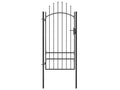 Portail de jardin Acier 1x2.5 m Noir 69813IZGT