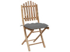 Chaises de jardin pliables lot de 2 avec coussins Calmetop 83248SDDS