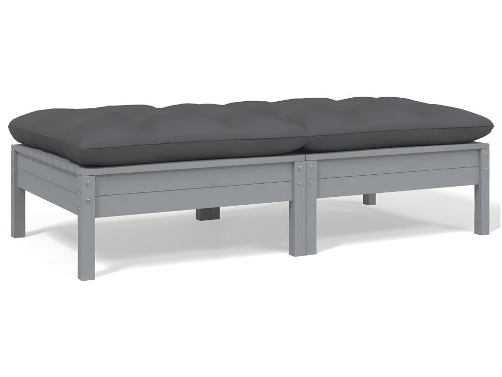 Canapé 2 places de jardin et coussins Gris Bois de pin solide 34158NLXR