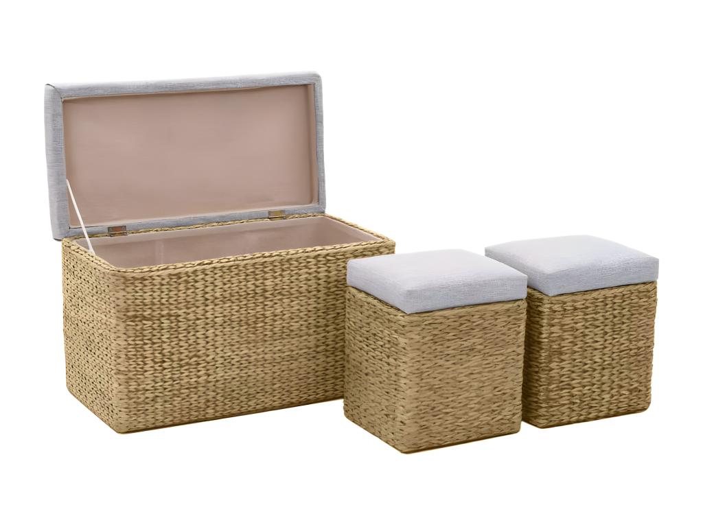 Banc avec 2 poufs Jacinthe d'eau Gris 40779LVDU