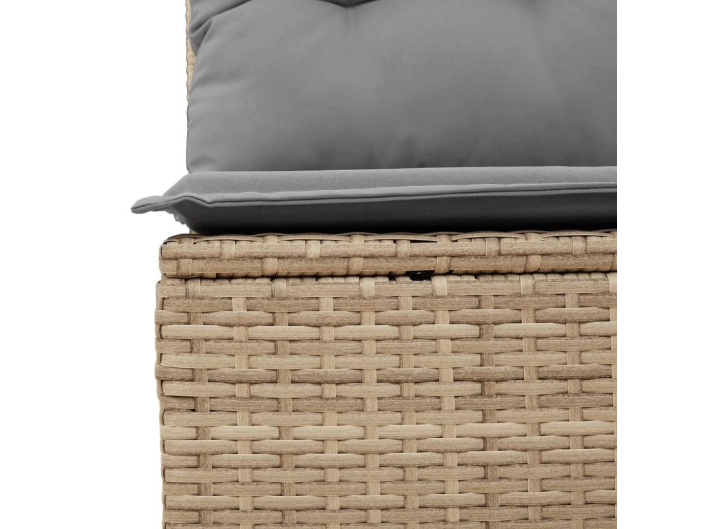 Salon de jardin et coussins 12 pcs méArtvivrestore résine tressée beige 42316JWGQ